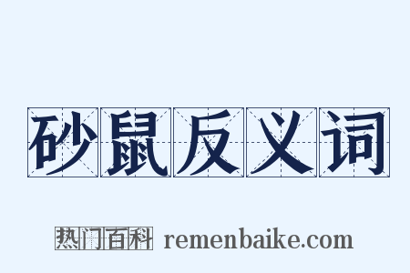 砂鼠反义词是什么意思的图片